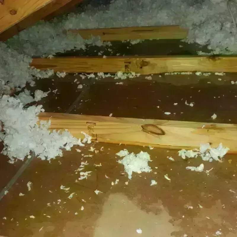 Attic Water Damage in Midway, GA