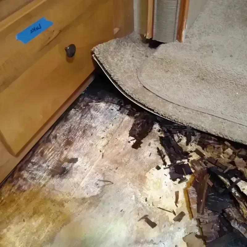 Wood Floor Water Damage in Midway, GA